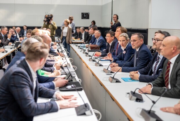 Die Zwangsverzwergung der AfD