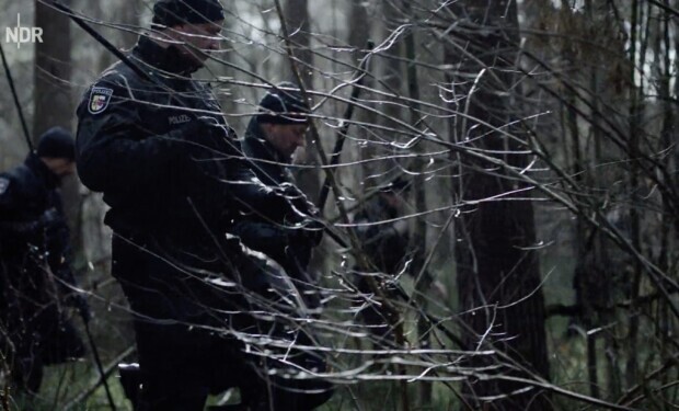 Serienmörder im Walde?