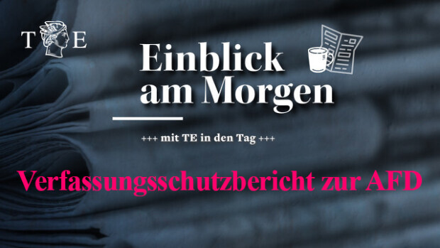 Verfassungsschutzbericht zur AfD