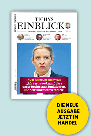 Einblick-Abo