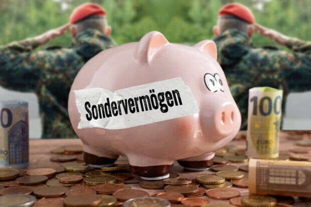 Der Schulden-Tsunami: Wie ReArm EU und Sondervermögen die Bürger ihrer Kaufkraft berauben