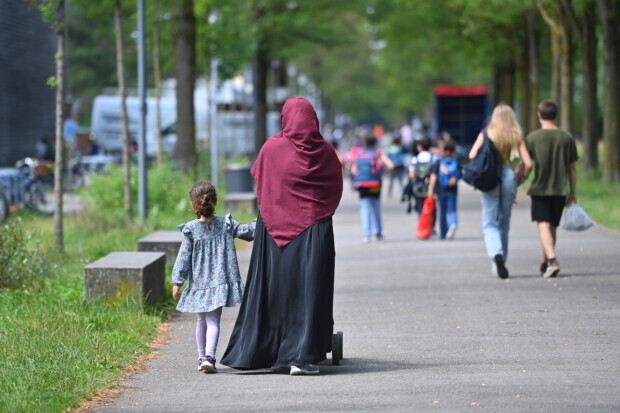 Die Integrations-Illusion