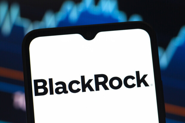 BlackRocks digitaler Raubzug: Wenn Vermögen zu Computerdaten wird