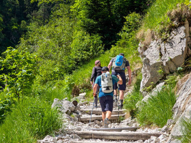 Beim Bayerischen Rundfunk immer Sonntags das Klimamurmeltier