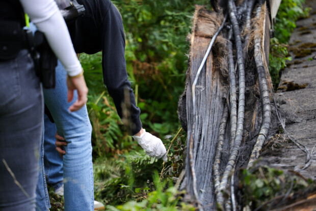 Bekennerschreiben: Antifa feiert Anschlag auf die Bahn