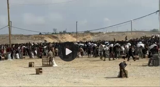 Kurznachrichten aus dem Orient