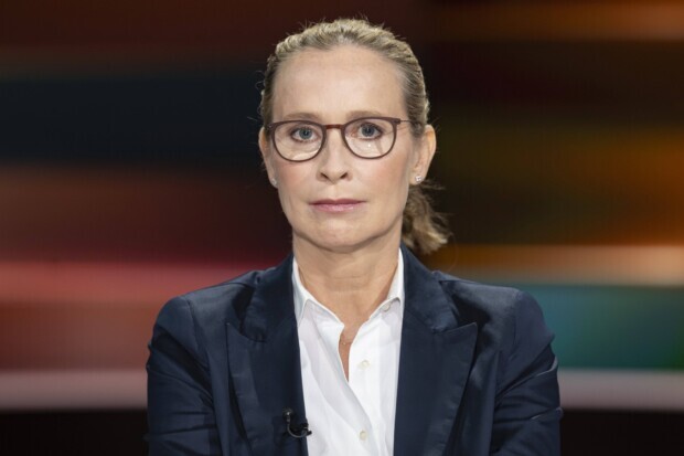 Plagiatsaffäre Brosius-Gersdorf: Super-GAU für die SPD