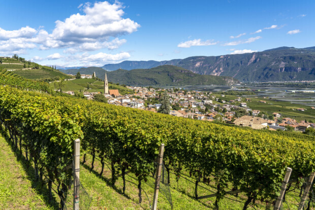 Südtirol – Das Land der außergewöhnlichen Winzergenossenschaften