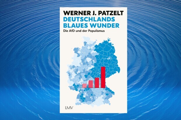 Die AfD geht nicht weg – weil die Gründe für ihren Aufstieg bleiben