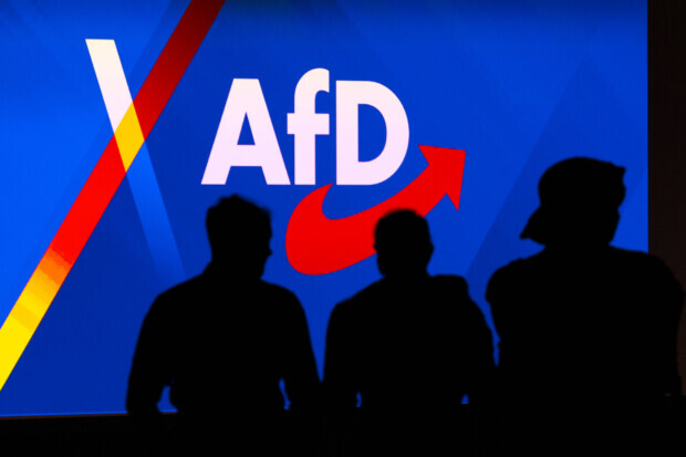 AfD mit bestem Ergebnis in Integrationsrat von Paderborn und Gummersbach gewählt