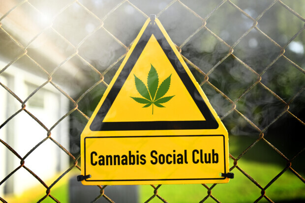 Gefährliches Gesetz: Mit Cannabis ist nicht zu spaßen