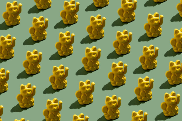 Im Land der Grinsekatzen