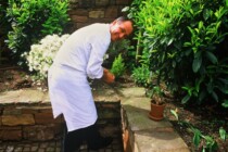 Hort der Tradition und Qualität: Haeberlins Auberge de l’Ill im Elsass