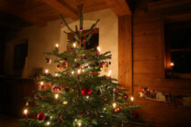 Chemie des Weihnachtsbaums – Biologisches Wohlfühlprogramm