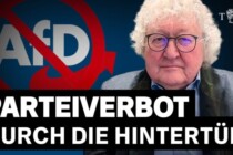 AfD-Politiker von Wahlen ausgeschlossen: Rheinland-Pfalz schafft Demokratie kommunal ab