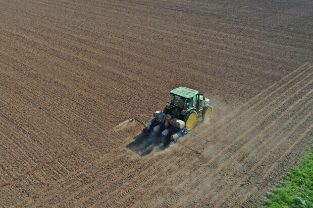 EU wirft Saatgut-Bauern den Großkonzernen zum Fraß vor