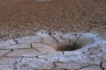 Der Usbekistan-Faktor: Kollaps des Potsdam-Narrativs