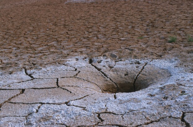 Der Usbekistan-Faktor: Kollaps des Potsdam-Narrativs