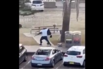 Sydney: Mehrere Tote bei Anschlag auf Chanukka-Feier – Passant entwaffnet Attentäter