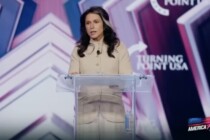 US-Geheimdienst-Direktorin: „EU und NATO wollen die USA in den Krieg mit Russland ziehen“