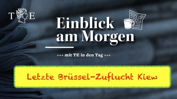Ein Ende des Ukraine-Krieges wäre das Schlimmste für „Die Europäer“ und die EUvdL-Formation