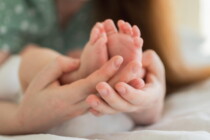 Leihmutterschaft, Euthanasie, Abtreibung: Das Lebensrecht unter Beschuss