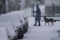Stromausfall im Südwesten Berlins nach Brand an Kabelbrücke, LKA ermittelt