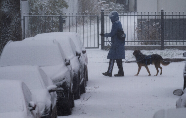 Stromausfall im Südwesten Berlins nach Brand an Kabelbrücke, LKA ermittelt
