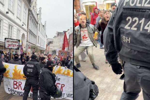 In Flensburg wurde Unseredemokratie gerettet – auf Kosten der Demokratie