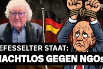 Der gefesselte Staat: NGOs regieren, dank der Brandmauer