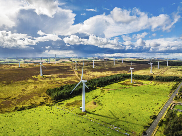 Klimapolitik in Deutschland: Der Sieg der Dummheit