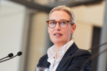 Verfassungsschutz darf AfD nicht als gesichert rechtsextrem führen