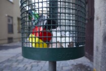 Die Deutschen schaffen sich ab