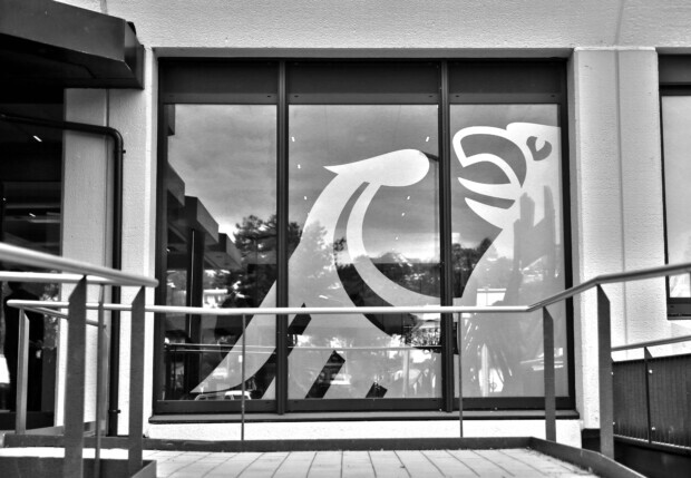 Die „falsche Meinung“ als Ermittlungsfall