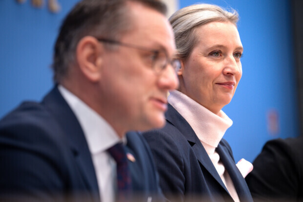 Hat die AfD ihren Zenit erreicht?