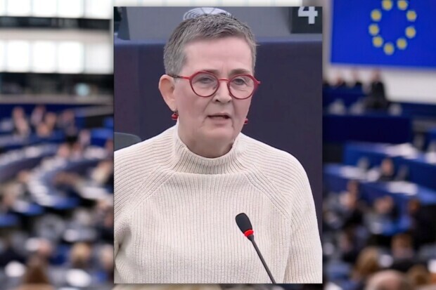 Deutsche EU-Parlamentarierin: Gruppenvergewaltigungen gibt es nicht