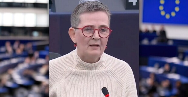 Deutsche EU-Parlamentarierin: Gruppenvergewaltigungen gibt es nicht