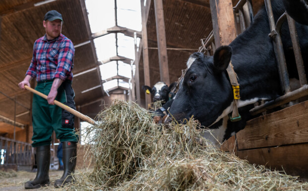 EU-Bürokratie bringt Bio-Bauern zu Betriebsaufgabe