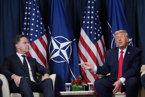 „Trumps Pudel“? NATO-Generalsekretär Mark Rutte in der Kritik