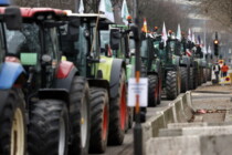 Jetzt geht es ans Eingemachte – Nach dem Energiesektor gerät nun die Landwirtschaft stärker ins Visier