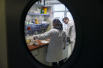 Mangelnde „Offenheit“: Ostdeutsche AfD-Ergebnisse schuld am Fachkräftemangel?