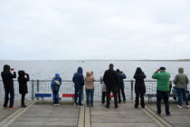 Guter Wal – armer Wolf: Naturkult und Ideologie