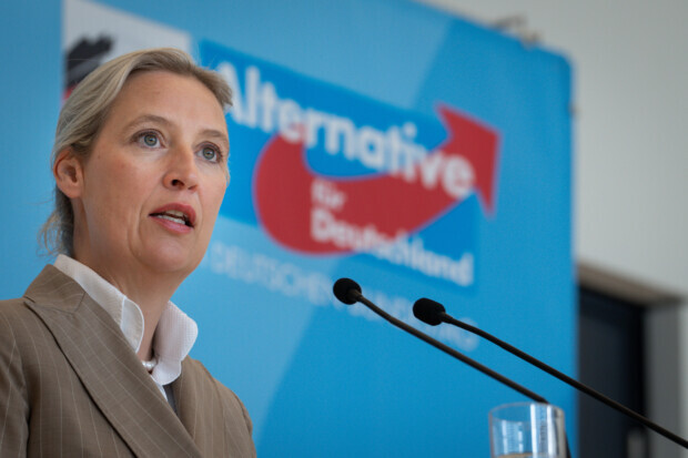 Umfragen mit Sprengkraft – Union und SPD stürzen ab, AfD vorne