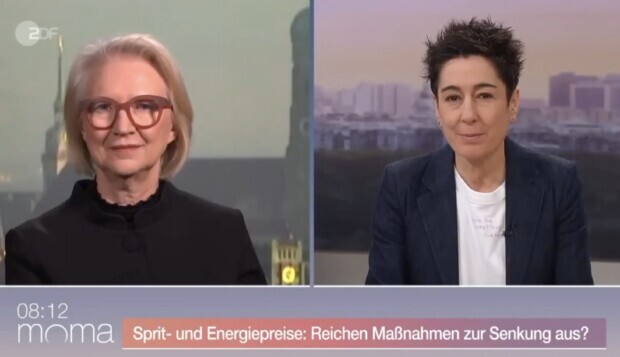 Wie „Wirtschaftsweise“ Monika Schnitzer ein ganzes Land verhöhnt