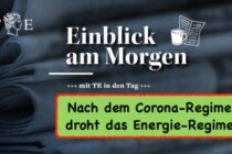 Politik- und Staatsversagen: Statt Krisenvorsorge aus eigenen Ressourcen deren Zerstörung
