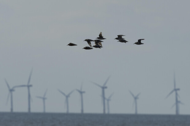 Keine Windräder in Nord- und Ostsee mehr?