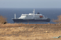 Hantavirus: Vom Kreuzfahrtschiff in den Flieger?