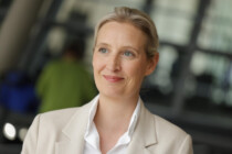 AfD bei Forsa auf Allzeithoch – Merz wird für die CDU zum Absturzkanzler