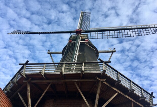 Historischer Treppenwitz: Was uns alte Windmühlen über die Energiewende verraten