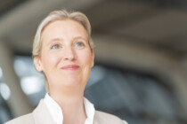 AfD mit Rekordwerten in der Sonntagsfrage